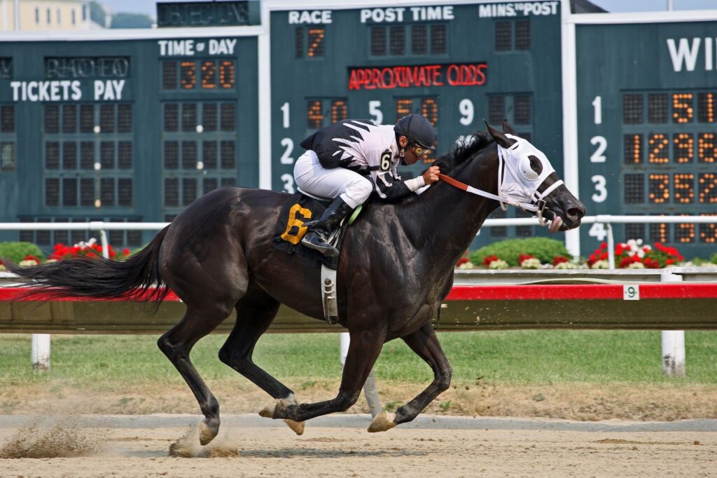 U.S. sports betting